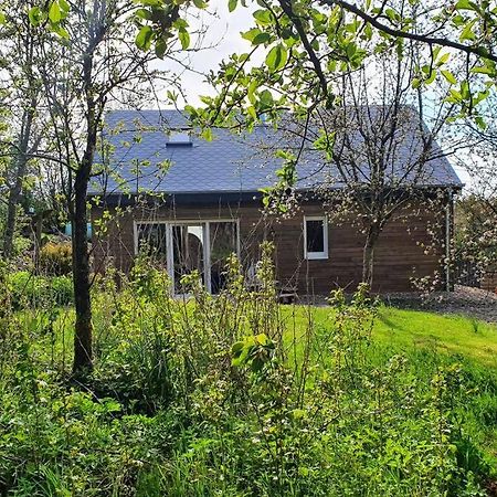 Le chalet des Oisaï Wibrin Extérieur photo
