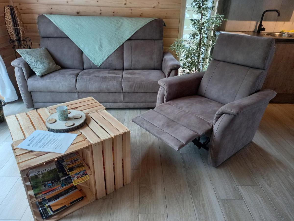Le chalet des Oisaï Wibrin Extérieur photo